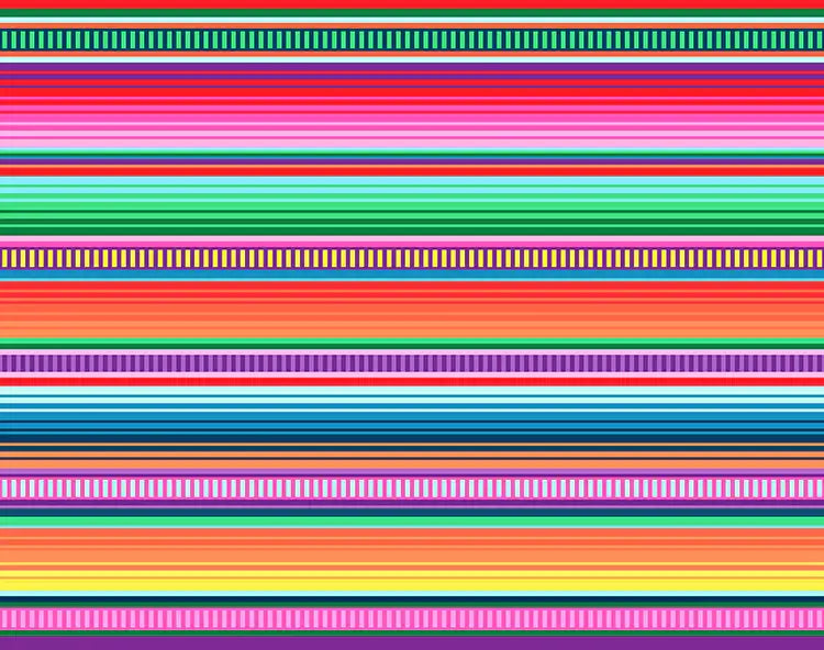 a mexican fiesta theme photography backdrop