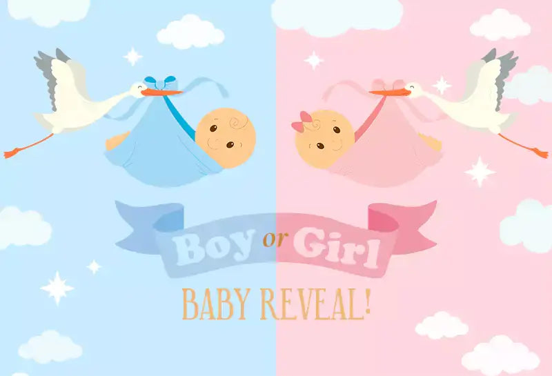 a gender reveal photography backdrop features pink and blue, boy or girl baby reveal text